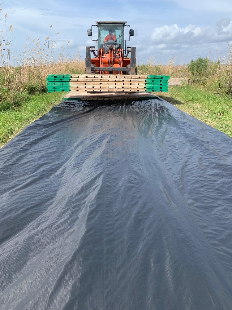Drill Site Assurance